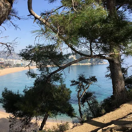 شقة Vivalidays Alicia - Fenals - Lloret De *