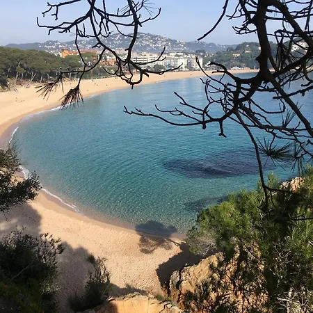 Vivalidays Alicia - Fenals - Lloret De يوريت دي مار